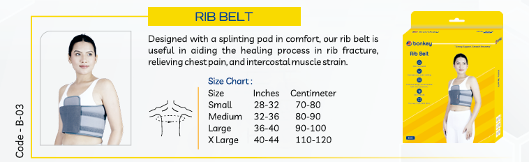 Rib Belt Details